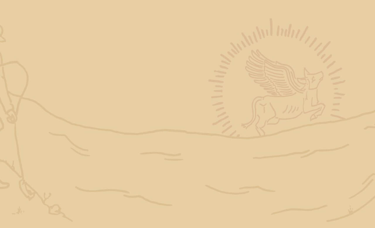 Bogeys Logo